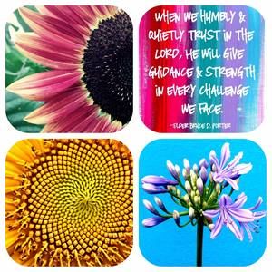 Meet your Posher, Margie